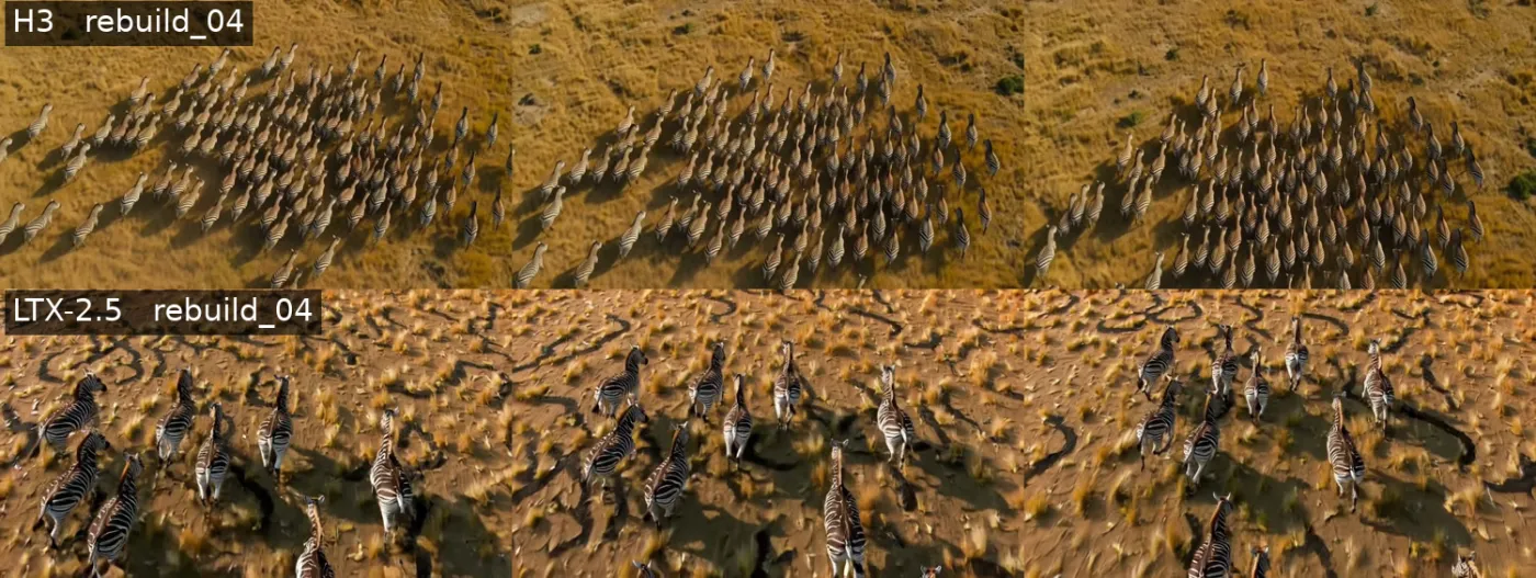Zebra herd from above: H3 holds around sixty animals, LTX shows a dozen at higher detail